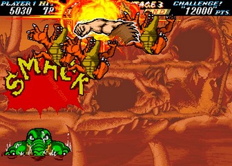 image de The First Funky Fighter
